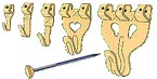 crochet x